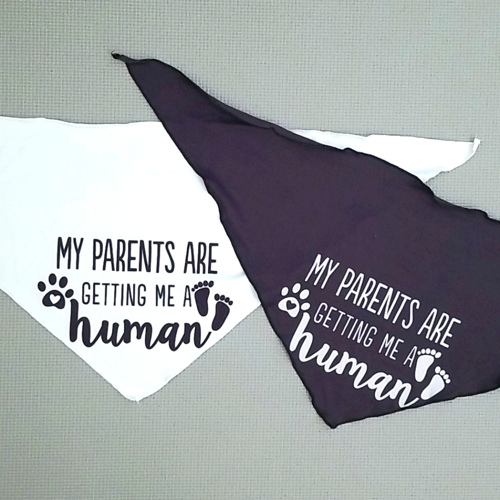 Pregnancy Announcement Pet Bandanas